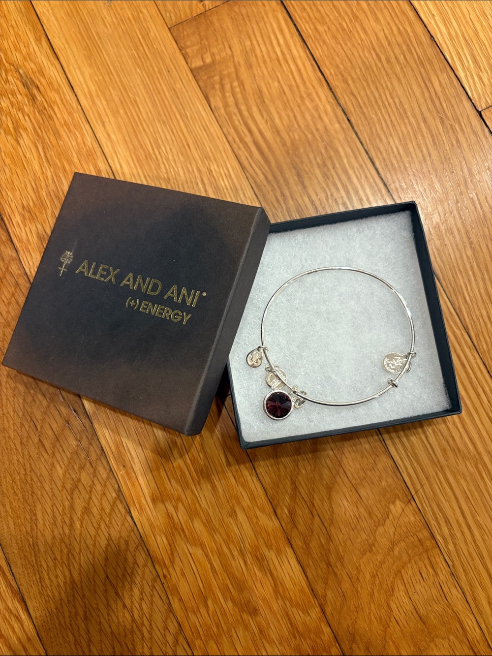 Alex and Ani Silver Bangle Bracelet with Garnet Charm birth stone birthday